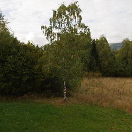 Hotel Magiczne Bieszczady - Smerek 86 Cisna Exteriér fotografie